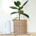 Ionizers vs HEPA Filters: Which is the Best Air Purifier for You?