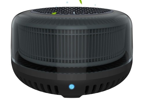 Which Air Purifier is Better: Ionizer or HEPA Filter?